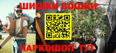 хмурый Камышлов